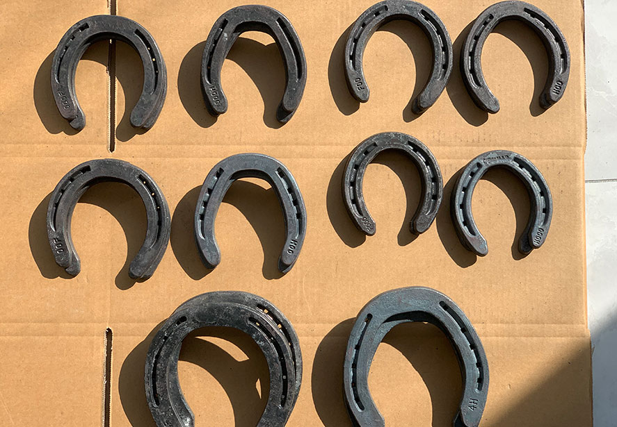 Échantillons d'expédition d'air au client Horseshoe